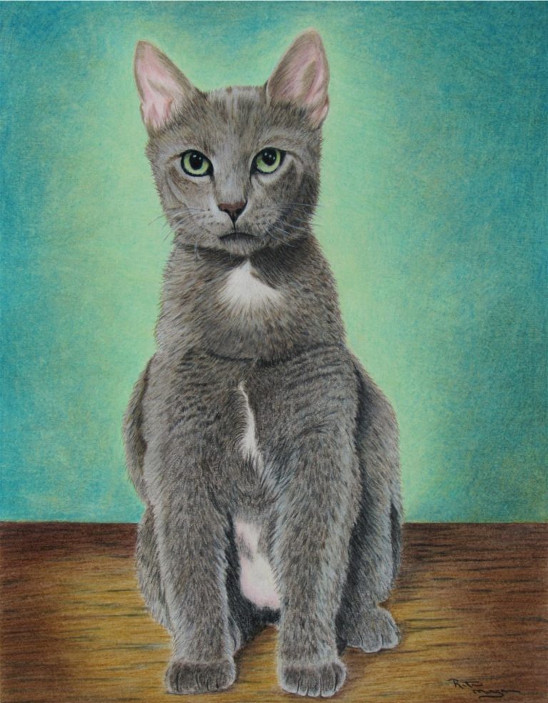 "Bobby the Bob Tail Cat" by  Rita Morgan